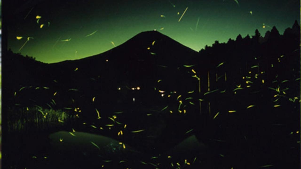Kyukamura Fuji Fujinomiya Extérieur photo