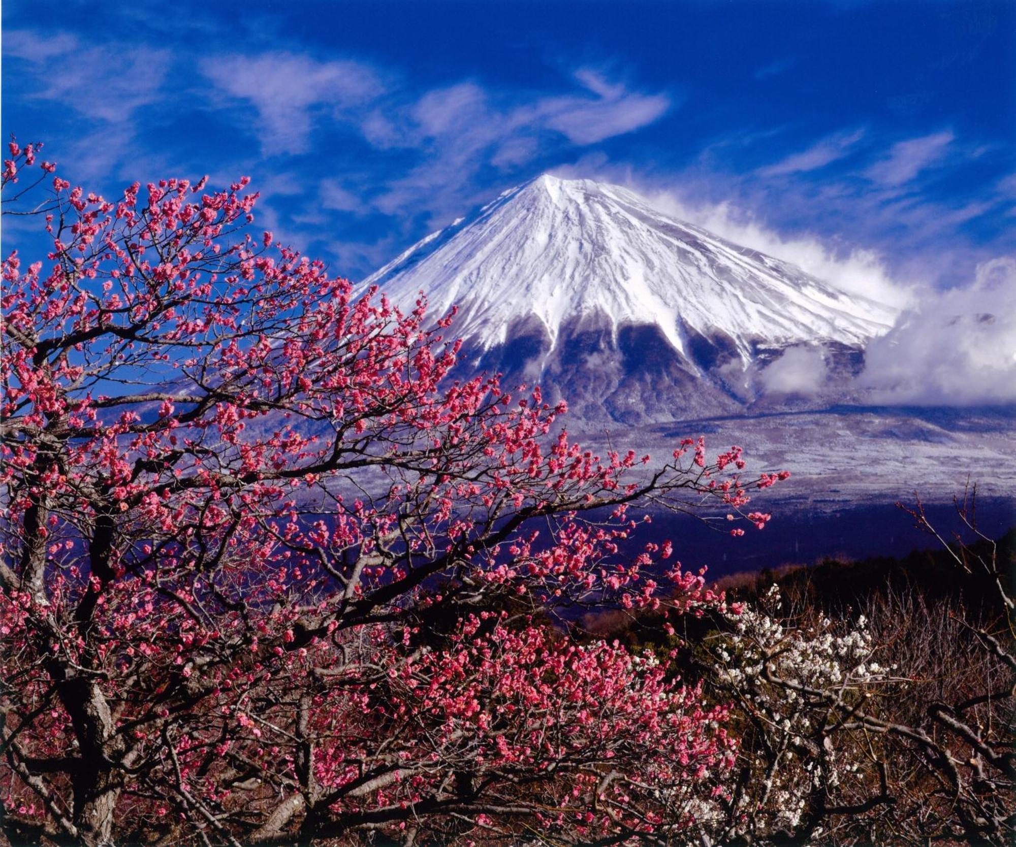 Kyukamura Fuji Fujinomiya Extérieur photo